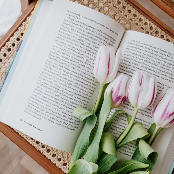 The Novel Package